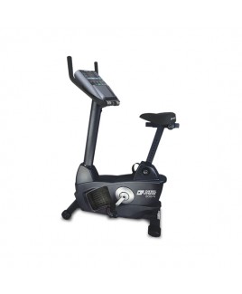 602N DİKEY BİSİKLET